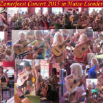 Zomerfeest Concert Huize Liendert 2015